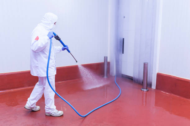 Best Spring Cleaning  in Echelon, NJ